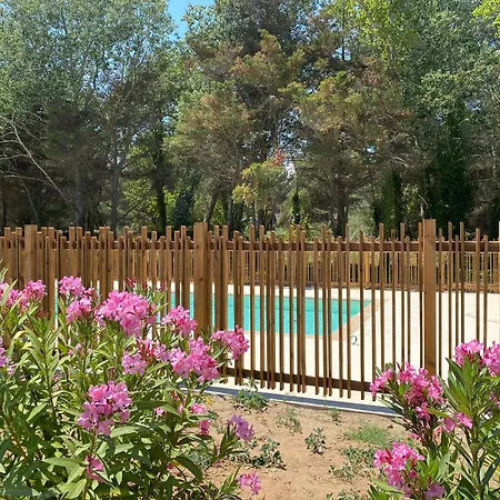 Agence Jf Immo- T4 Jardin Climatisation Solarium Menage Draps V0767 Вилла Виас